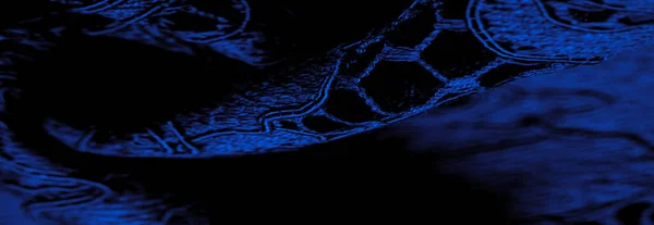 Mavi Dantel Kumaş Kabartmalı Dantel Kumaş Her Iki Tarafında Istiridye — Stok fotoğraf