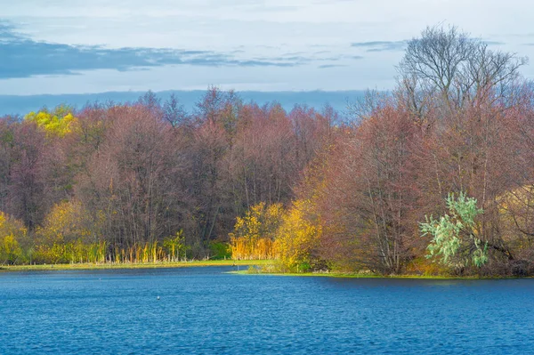 Осенний Пейзаж Фото Озера Деревья Растут Частично Покрытые Желтыми Листьями — стоковое фото
