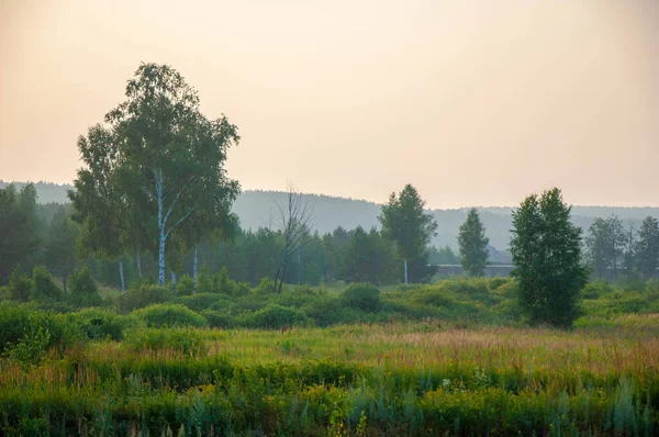 Morgens Sommer Sommer Landschaft Foto Bewölkter Himmel Leichter Nebel Europa — Stockfoto