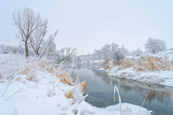 Frost Den Bäumen Ist Das Nicht Ein Richtiger Wintertag Ist — Stockfoto