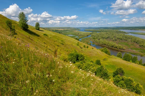 Sommarlandskap Flod Stor Naturlig Ström Vatten Som Rinner Kanal Till — Stockfoto