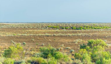 Çayırlık, bozkır ekosistemi, çayırlık, savana ve çalı biyologlarına göre, benzer ılıman bir iklime, ılımlı yağış ve çimen bileşimine dayanan bir çalı biyomu.,
