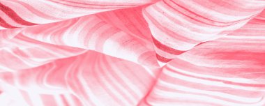 Doku, arka plan, desen, kırmızı ahududu çizgileri, pamuk kumaş, Mapudungun panço, battaniye, yün kumaş - bunlar vücudu sıcak tutmak için tasarlanmış..