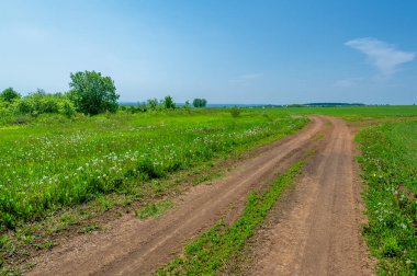 Bahar fotoğrafçılığı, buğday tarlalarındaki toprak yol. Hareket ve iletişim için tasarlanmış şerit