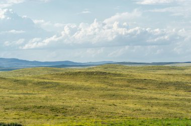 Çayır, veld, ormansız bozkır, nemli ve kurak iklim bölgesinde bitkisel hayata sahip. Çayır bitkileri kalıcı yanıklara adapte olup güçlü yeraltı yapıları geliştirirler.