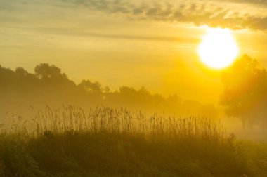 Nehir taşkın ovasında sonbahar sisi. Sel ovasında şafak vakti durgun suları olan bir çayır. Nehrin üzerindeki sonbahar sisinde yapraklar yaza bir veda şarkısı söyler..