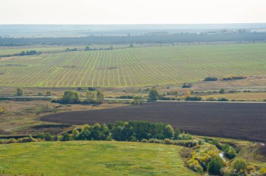 Sonbahar manzarası, yaprak döken orman. Sonbaharın başlangıcında, ağaçlar renk değiştirdiğinde. Sanatçı ağaçları farklı renklerde boyamış ve idealist bir manzara yakalamış gibi görünüyor..