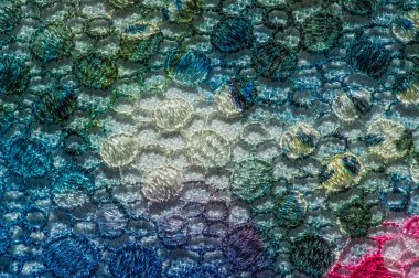 Yapışkan dantel çizgili kumaş. Işıltılı çok renkli dantel; the-ve-ve-ve-metalik nakış. Arkaplan dokusu için güzel geleneksel dantel; desen.