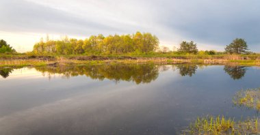 Ormanda bataklık. Boggy Gölü. Güneş doğuyor. Gün batımı. Ormanın üstünde. Suyun toplandığı, bir bataklık ya da bataklık gibi alçak ve ekili olmayan bir alan..