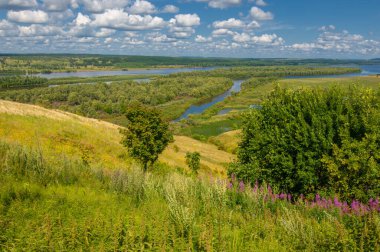 Yaz manzarası, bir kanaldan denize, bir göle ya da başka bir dereye akan büyük bir doğal su akıntısı. Sel, nulla, sıvı, ford. Yüksek tepe kıyıları