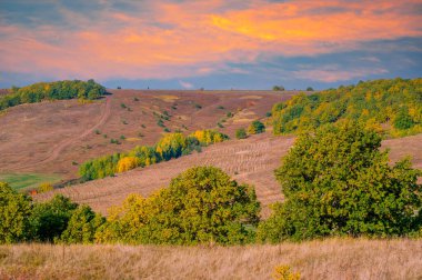 Sonbahar manzarası, yaprak döken orman. Sonbaharın başlangıcında, ağaçlar renk değiştirdiğinde. Sanatçı ağaçları farklı renklerde boyamış ve idealist bir manzara yakalamış gibi görünüyor..