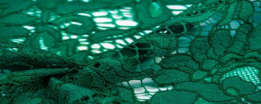Doku, arkaplan, desen, yeşil dantel kumaş, kabartmalı dantel kumaş, her iki tarafında da istiridye var. Projeleriniz için uygun, tasarım, vs..
