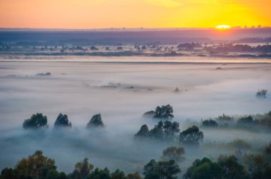 Nehir taşkın ovasında sonbahar sisi. Sel ovasında şafak vakti durgun suları olan bir çayır. Nehrin üzerindeki sonbahar sisinde yapraklar yaza bir veda şarkısı söyler..
