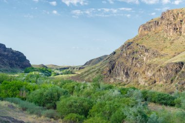 Bozkır, çayır, veld, veld Kazakistan 'da büyük bozkır. Bunlar orta sıcaklıkta, hafif yağış ve az sayıda ağaçla büyük düz çayırlar..
