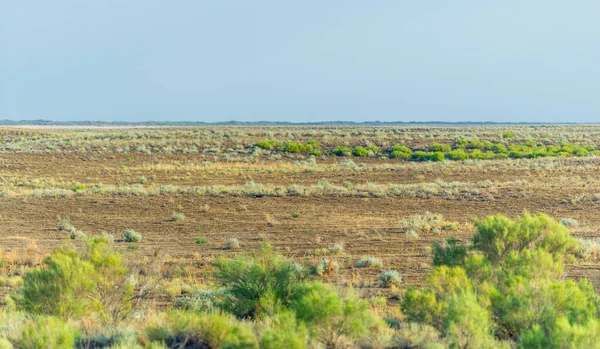 Çayırlık, bozkır ekosistemi, çayırlık, savana ve çalı biyologlarına göre, benzer ılıman bir iklime, ılımlı yağış ve çimen bileşimine dayanan bir çalı biyomu.,