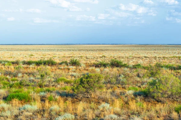 Prairie Écosystème Steppe Considéré Comme Faisant Partie Des Prairies Savane — Photo