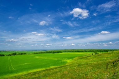 Yaz manzarası, kırsal alan, parlak yeşil çimenler ve ağaçlar, beyaz bulutlu mavi gökyüzü, harika yaz havası.