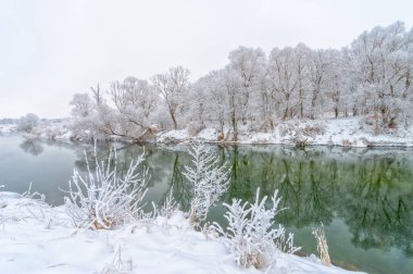 Ağaçlarda buz var. Bu gerçek bir kış günü değil mi? Sevdiğim hala melankolik hayat ve doğanın ahengi..