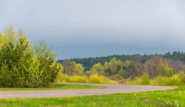 Güneş doğuyor. Gün batımı. Ormanın üstünde. İl yolu. Avrupa 'nın merkezi şeridi. Yılın ilkbaharı. Gündoğumu, doğumu, yükselişi. gerileme, parlama sonrası