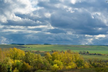 Sonbahar manzara fotoğrafı. Avrupa 'nın düz bitki örtüsü. Çayırlar, vadiler, çalılıklar, açık yaprak döken veya karışık ormanlar. Eylül 'de Meadows
