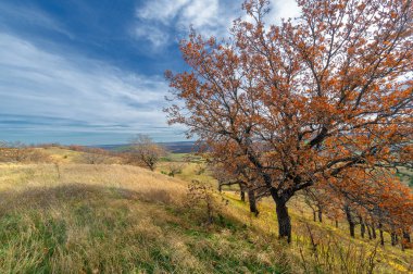 Tepeler, kırsal kesim için uygun olan çarpıcı kırsal kesimin unutulmaz manzaralarını sunuyor. Etrafını çevreleyen canlı sonbahar yaprakları tarafından çerçevelenmiş. Meşhur sonbahar yaprakları.!