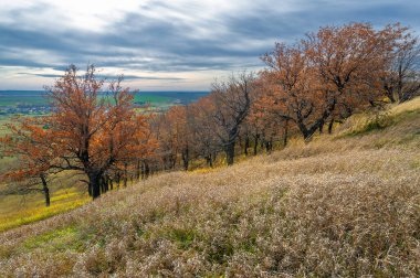 Tepeler, kırsal kesim için uygun olan çarpıcı kırsal kesimin unutulmaz manzaralarını sunuyor. Etrafını çevreleyen canlı sonbahar yaprakları tarafından çerçevelenmiş. Meşhur sonbahar yaprakları.!