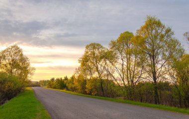Güneş doğuyor. Gün batımı. Ormanın üstünde. İl yolu. Avrupa 'nın merkezi şeridi. Yılın ilkbaharı. Gündoğumu, doğumu, yükselişi. gerileme, parlama sonrası
