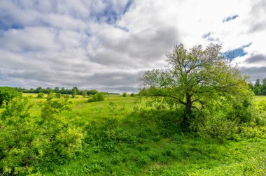 Bahar fotoğrafçılığı, çayırlar, tarlalar, vadiler, tepeler, kırsal alanlar. Dik yamaçlı, derin ve dar bir vadi. Doğal olarak yükseltilmiş bir arazi, bir dağ kadar yüksek ya da sarp değil.