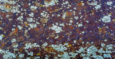 Pas ve yosun kaplı antika demir. Doku. Geçmişi. şablon.