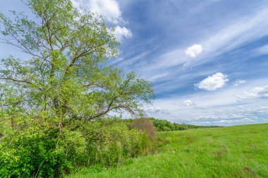 Bahar fotoğrafçılığı, eriyen kar ve yaz yağmurlarından oluşan eski bir vadi. Ceviz, meşe, huş ağacı, dağ külleri ve ıhlamur ormanları kenarlarda yetişir. Beyaz bulutlu parlak, yumuşak gökyüzü