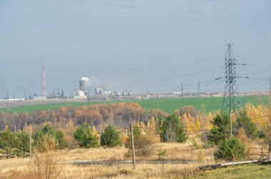 Sonbahar bir değişim zamanıdır. Bitkilerin ve hayvanların yaklaşan kışın soğuğuna ve karanlığına hazırlandıkları zaman. Geceler gelip, hava serinlediğinde