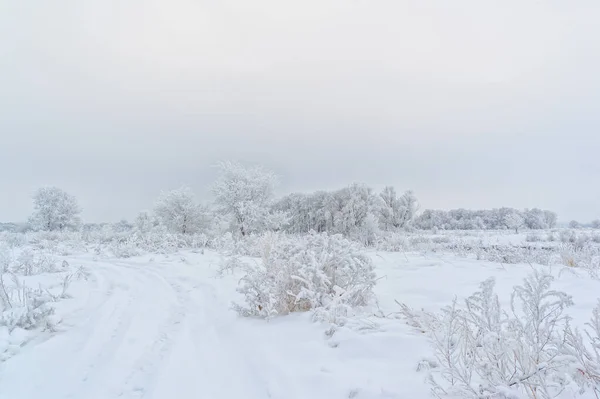 Winterzauber Atemberaubendes Frosteis Schmückt Die Bäume Nachts Hinterließ Der Eisige — Stockfoto