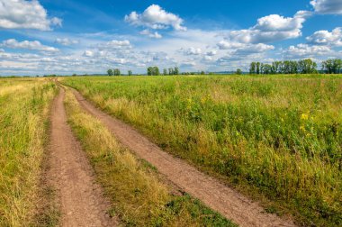 Yaz fotoğrafı. Sel ovaları (veya sel ovaları), nehir kıyısında mevsimsel sellere eğilimli bir çayır ya da çayır alanıdır.