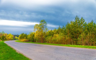 Güneş doğuyor. Gün batımı. Ormanın üstünde. İl yolu. Avrupa 'nın merkezi şeridi. Yılın ilkbaharı. Gündoğumu, doğumu, yükselişi. gerileme, parlama sonrası