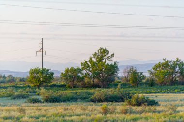 Bozkır, çayır, veld, veld Kazakistan 'da büyük bozkır. Bunlar orta sıcaklıkta, hafif yağış ve az sayıda ağaçla büyük düz çayırlar..