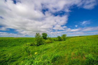Bahar fotoğrafçılığı, çayırlar, tarlalar, vadiler, tepeler, kırsal alanlar. Dik yamaçlı, derin ve dar bir vadi. Doğal olarak yükseltilmiş bir arazi, bir dağ kadar yüksek ya da sarp değil.