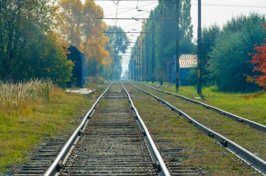 Sonbaharda demiryolu rayları. Boş demiryolu rayları, açık arazi. Perspektif görünümü