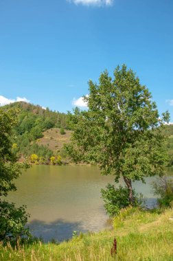 Yaz manzara fotoğrafçılığı, gölü olan yuvarlanan tepeler, Orta Avrupa