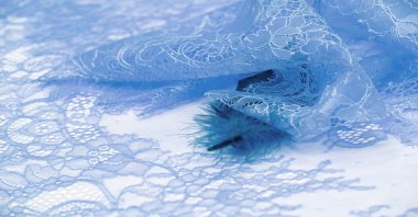 dantel kumaş. Kuş tüyü. Beyaz arka planda mavi renk. İplik ya da iplikten ustalıkla yapılmış dantel kumaşlar 16. yüzyıldaki başlangıcından bu yana tarihi olarak sınıf ve güzelliği somutlaştırmıştır..