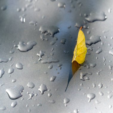 Boya yüzeyine su damlaları. Doku, arkaplan, desen.,