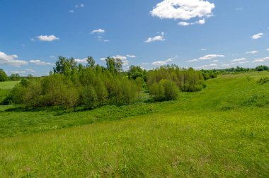 Bahar fotoğrafçılığı, çayırlar, tarlalar, vadiler, tepeler, kırsal alanlar. Dik yamaçlı, derin ve dar bir vadi. Doğal olarak yükseltilmiş bir arazi, bir dağ kadar yüksek ya da sarp değil.