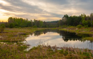 Güneş doğuyor. Gün batımı. Ormanın üstünde. Avrupa 'nın merkezi şeridi. Yılın ilkbaharı. gündoğumu, doğumu, yükselişi
