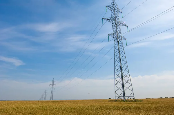 Yaz fotoğrafı. Ilıman ülkelerde yetişen ve ekmek, makarna, pasta vb. için un yapmak için kullanılan en önemli bitki olan buğday. ..