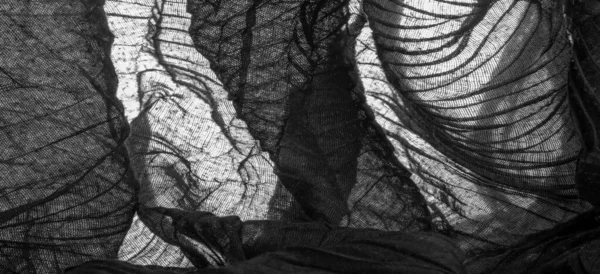 Текстура Тло Тло Чорна Прозора Тканина Друкованими Лініями — стокове фото