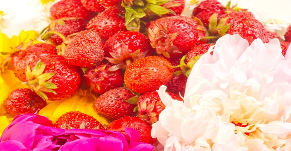 Fresas Flores Una Fruta Roja Dulce Suave Con Una Superficie — Foto de Stock