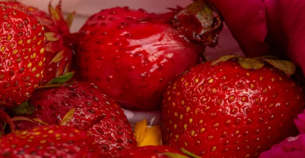 Fresas Flores Una Fruta Roja Dulce Suave Con Una Superficie — Foto de Stock