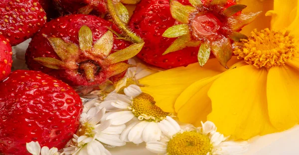 Morangos Flores Uma Fruta Vermelha Suave Doce Com Uma Superfície — Fotografia de Stock