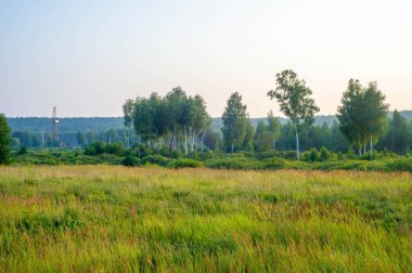 Yaz sabahı, yaz manzarası, bulutlu gökyüzü, hafif sis, Avrupa, orta bando