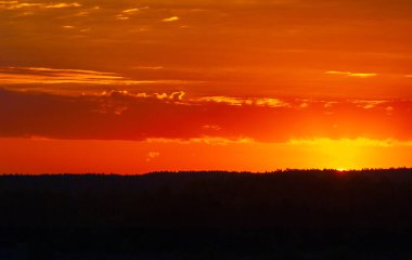 Güneş doğuyor. Gün batımı. Ormanın üstünde. Avrupa 'nın merkezi şeridi. Yılın ilkbaharı. gündoğumu, doğumu, yükselişi