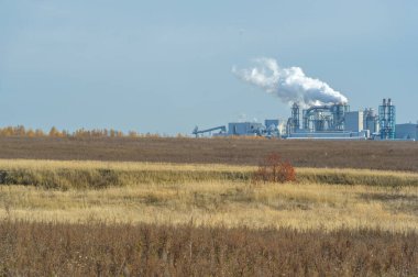 Ekoloji fabrikası. Kümes hayvanları, ölü hayvanların ve kuşların kanı, çiğ et, kemik ve bağırsakların işlenmesi. Doğal yollardan ölen hayvanlar ve özellikle seçimler sırasında öldürülenler.
